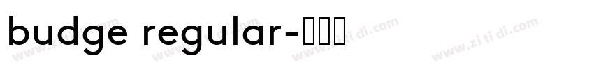 budge regular字体转换